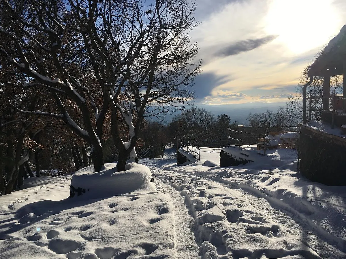 Farm stay Il Frutteto Di Efesto Villa Biancavilla